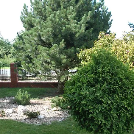 Zakatek Wroclawia Apartment Bielany Wroclawskie