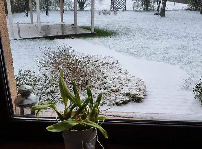 Apartment Zakatek Wroclawia *